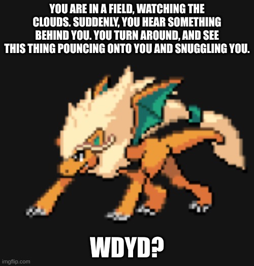 YOU ARE IN A FIELD, WATCHING THE CLOUDS. SUDDENLY, YOU HEAR SOMETHING BEHIND YOU. YOU TURN AROUND, AND SEE THIS THING POUNCING ONTO YOU AND SNUGGLING YOU. WDYD? | made w/ Imgflip meme maker