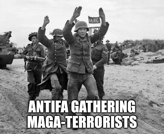 antifa | ANTIFA GATHERING MAGA-TERRORISTS | image tagged in domestic terrorist,antifa | made w/ Imgflip meme maker