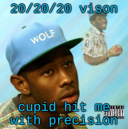 Wolf | 20/20/20 vison; cupid hit me with precision | image tagged in wolf | made w/ Imgflip meme maker