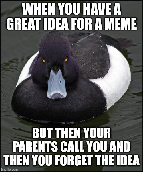 >:( | WHEN YOU HAVE A GREAT IDEA FOR A MEME; BUT THEN YOUR PARENTS CALL YOU AND THEN YOU FORGET THE IDEA | image tagged in angry duck,meme ideas,oh no,animals | made w/ Imgflip meme maker