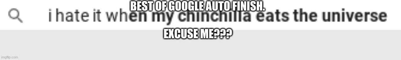 BEST OF GOOGLE AUTO FINISH. EXCUSE ME??? | image tagged in google search | made w/ Imgflip meme maker