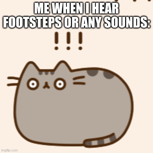 Pusheen Surprised | ME WHEN I HEAR FOOTSTEPS OR ANY SOUNDS: | image tagged in pusheen surprised | made w/ Imgflip meme maker