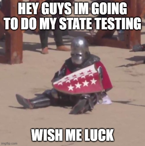 Sad Knight | HEY GUYS IM GOING TO DO MY STATE TESTING; WISH ME LUCK | image tagged in sad knight | made w/ Imgflip meme maker