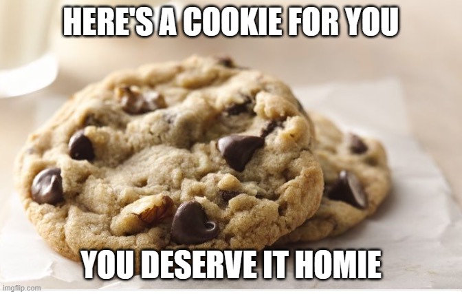 Chocolate chip cookie | HERE'S A COOKIE FOR YOU; YOU DESERVE IT HOMIE | image tagged in chocolate chip cookie | made w/ Imgflip meme maker