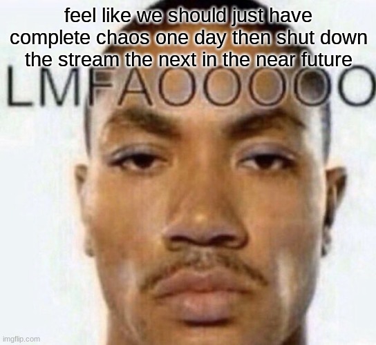LMFAOOOOO | feel like we should just have complete chaos one day then shut down the stream the next in the near future | image tagged in lmfaooooo | made w/ Imgflip meme maker