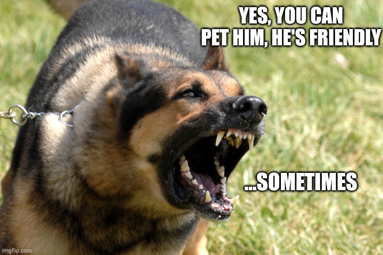 Barking dog | YES, YOU CAN PET HIM, HE'S FRIENDLY; ...SOMETIMES | image tagged in barking dog | made w/ Imgflip meme maker