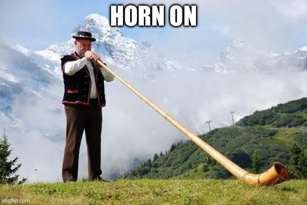 Ricola Horn | HORN ON | image tagged in ricola horn | made w/ Imgflip meme maker