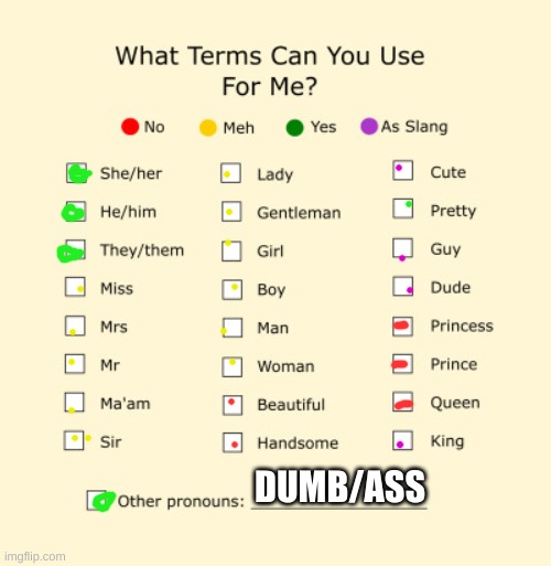 Pronouns Sheet | DUMB/ASS | image tagged in pronouns sheet | made w/ Imgflip meme maker