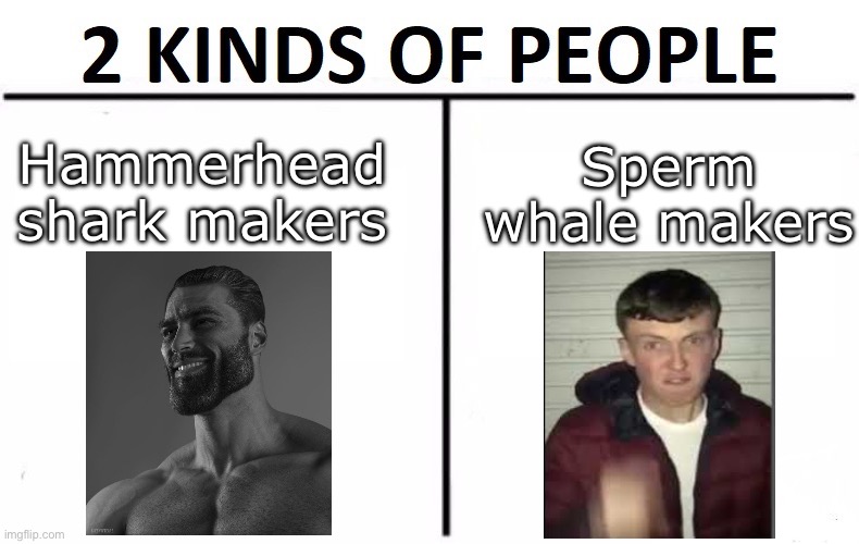 2 kinds of people | Sperm whale makers; Hammerhead shark makers | image tagged in 2 kinds of people,weird,shark,whale,sperm | made w/ Imgflip meme maker