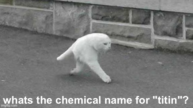 really bored | whats the chemical name for "titin"? | image tagged in chemistry ong frfr | made w/ Imgflip meme maker