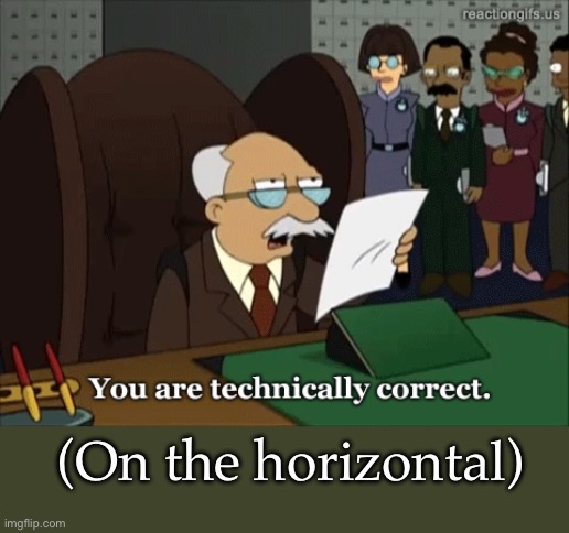 Horizontally | (On the horizontal) | image tagged in you are technically correct | made w/ Imgflip meme maker