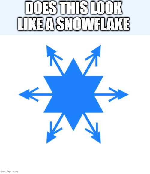 lady crystal snowflake | DOES THIS LOOK LIKE A SNOWFLAKE | image tagged in lady crystal snowflake | made w/ Imgflip meme maker