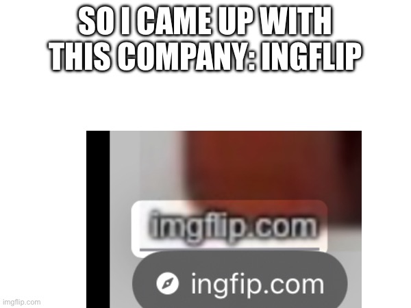 . | SO I CAME UP WITH THIS COMPANY: INGFLIP | image tagged in memes | made w/ Imgflip meme maker