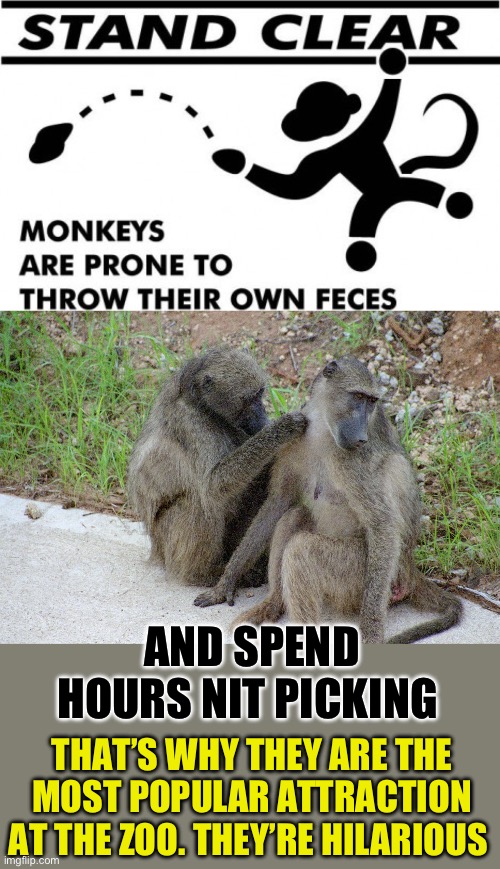 two monkeys Memes & GIFs - Imgflip