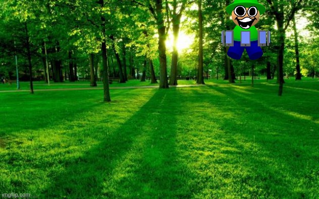 Grass and trees | image tagged in grass and trees | made w/ Imgflip meme maker