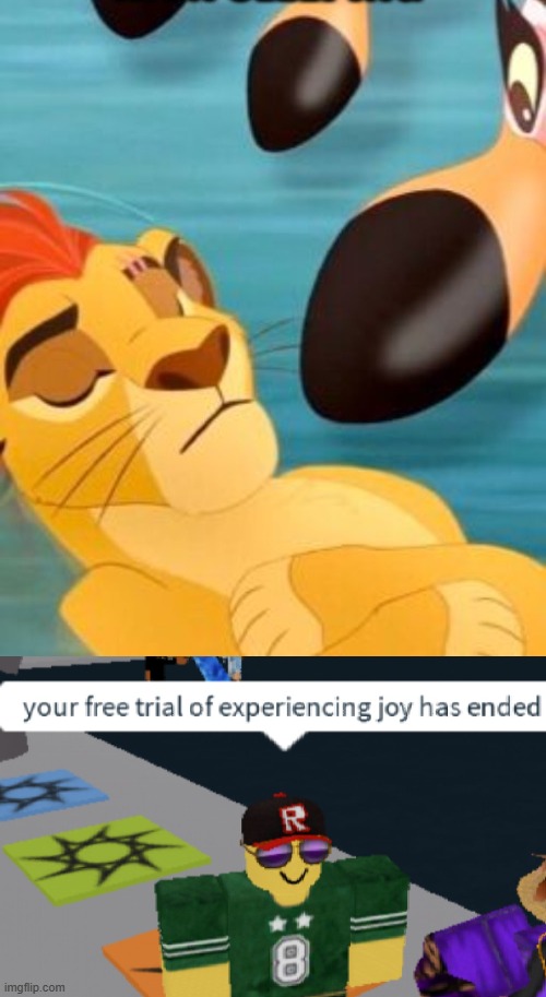 image tagged in kion sleeping for no reason,your free trial of experiencing joy has ended | made w/ Imgflip meme maker