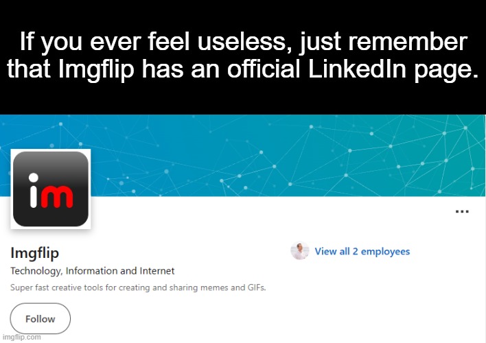 There are neither job offers nor posts there. | If you ever feel useless, just remember that Imgflip has an official LinkedIn page. | image tagged in imgflip,memes | made w/ Imgflip meme maker