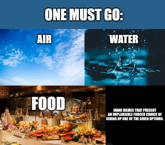 ONE MUST GO:; AIR; WATER; FOOD | image tagged in memes,choices | made w/ Imgflip meme maker