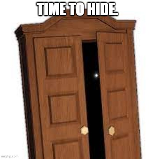 Hide. | TIME TO HIDE. | image tagged in its time to hide | made w/ Imgflip meme maker