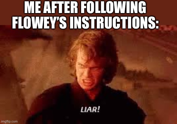 Anakin Liar | ME AFTER FOLLOWING FLOWEY’S INSTRUCTIONS: | image tagged in anakin liar | made w/ Imgflip meme maker