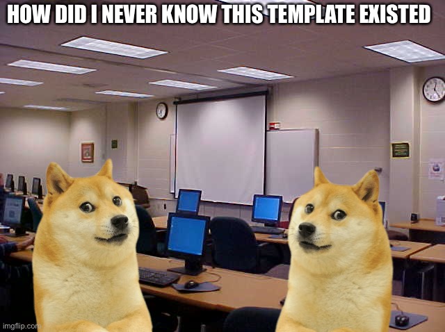 Doges in middle school computer lab | HOW DID I NEVER KNOW THIS TEMPLATE EXISTED | image tagged in doges in middle school computer lab | made w/ Imgflip meme maker