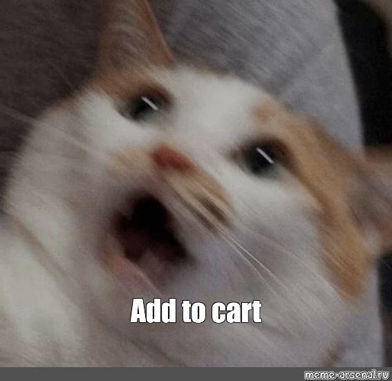 add to cart cat Blank Meme Template