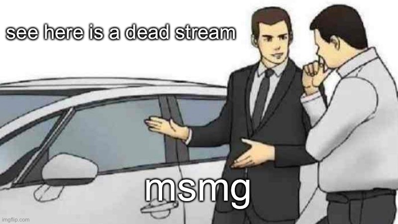Car Salesman Slaps Roof Of Car | see here is a dead stream; msmg | image tagged in memes,car salesman slaps roof of car | made w/ Imgflip meme maker