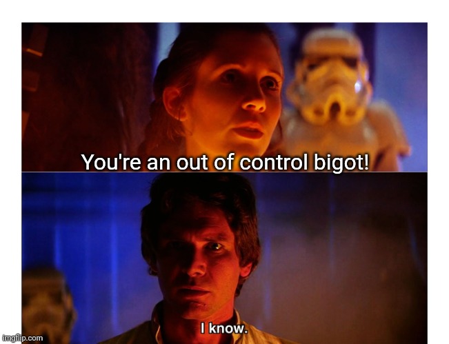 Han Solo "I Know" | You're an out of control bigot! | image tagged in han solo i know | made w/ Imgflip meme maker