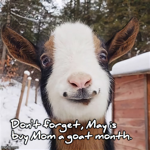 Buy Mom a Goat | image tagged in goats,mothers day | made w/ Imgflip meme maker