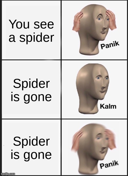 Panik Kalm Panik | You see a spider; Spider is gone; Spider is gone | image tagged in memes,panik kalm panik | made w/ Imgflip meme maker