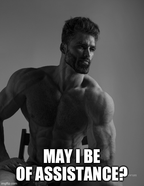 Giga Chad | MAY I BE OF ASSISTANCE? | image tagged in giga chad | made w/ Imgflip meme maker