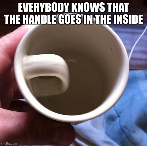 What a stunning cup! | EVERYBODY KNOWS THAT THE HANDLE GOES IN THE INSIDE | image tagged in memes,you had one job | made w/ Imgflip meme maker