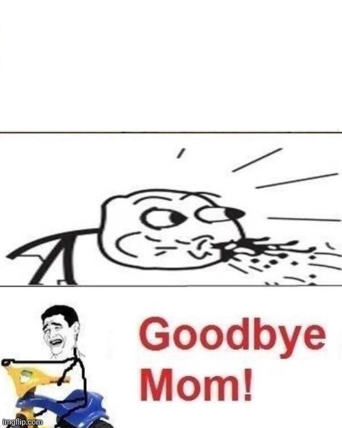 Goodbye mom | image tagged in goodbye mom | made w/ Imgflip meme maker