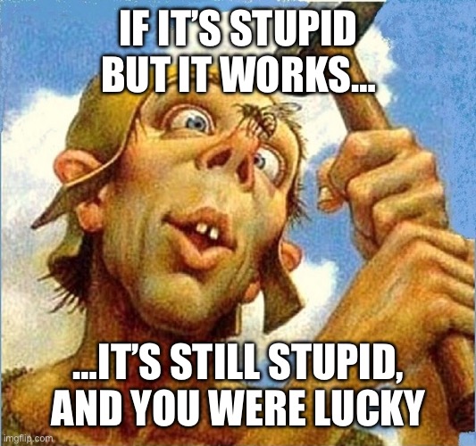 IF IT’S STUPID BUT IT WORKS…; …IT’S STILL STUPID, AND YOU WERE LUCKY | image tagged in funny | made w/ Imgflip meme maker