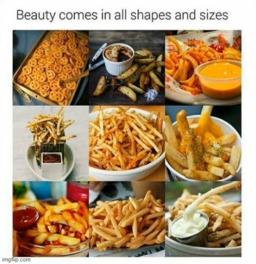 French fries: The most versatile side dish to ever appear on Earth | image tagged in french fries | made w/ Imgflip meme maker