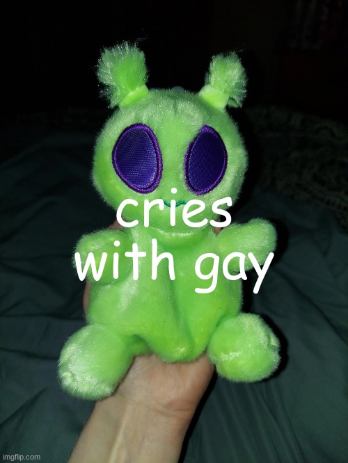 ross the alien plushie | cries with gay | image tagged in ross the alien plushie | made w/ Imgflip meme maker