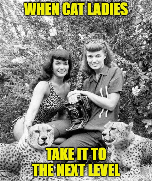 Cat Lady level: Prodigy (which you can't spell without "pro") | WHEN CAT LADIES; TAKE IT TO THE NEXT LEVEL | image tagged in crazy cat lady,cheetah,black and white,is that you yeah but that's an old photo,cat lady,the good old days | made w/ Imgflip meme maker