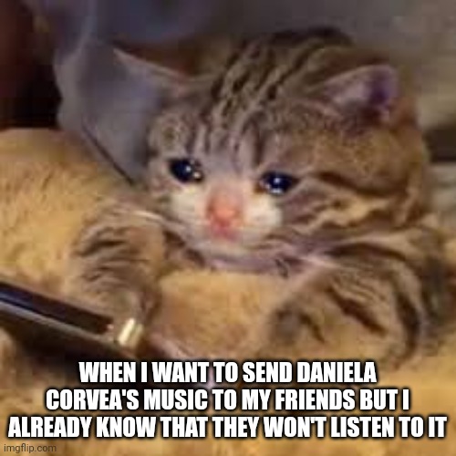 Daniela Corvea | WHEN I WANT TO SEND DANIELA CORVEA'S MUSIC TO MY FRIENDS BUT I ALREADY KNOW THAT THEY WON'T LISTEN TO IT | image tagged in sad cat looking at phone,music,music meme,funny,listening | made w/ Imgflip meme maker