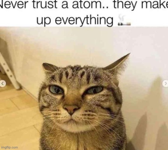 that's my cat btw | image tagged in bad pun cat | made w/ Imgflip meme maker