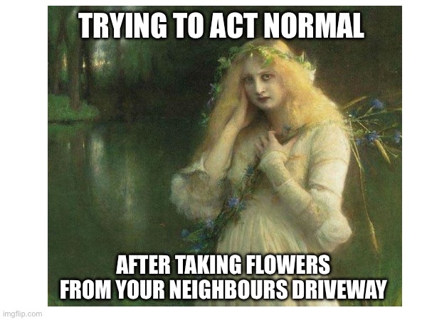Keep it cool | TRYING TO ACT NORMAL; AFTER TAKING FLOWERS FROM YOUR NEIGHBOURS DRIVEWAY | image tagged in funny memes | made w/ Imgflip meme maker