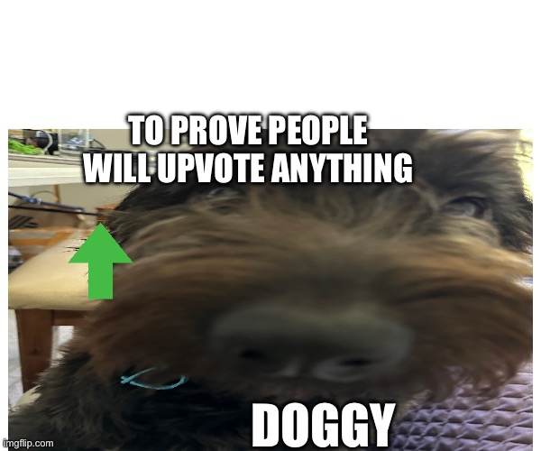 TO PROVE PEOPLE WILL UPVOTE ANYTHING; DOGGY | image tagged in funny | made w/ Imgflip meme maker