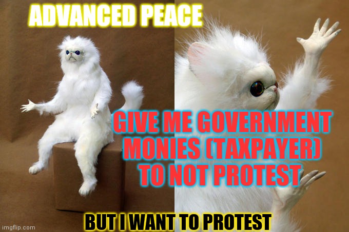 Hippies Are Addled Brained | ADVANCED PEACE; GIVE ME GOVERNMENT MONIES (TAXPAYER) TO NOT PROTEST; BUT I WANT TO PROTEST | image tagged in memes,persian cat room guardian,you're,us government | made w/ Imgflip meme maker
