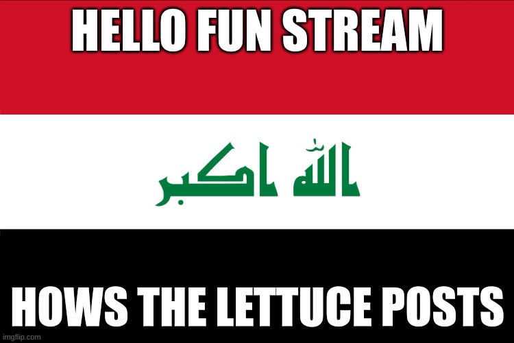 Flag of Iraq | HELLO FUN STREAM; HOWS THE LETTUCE POSTS | image tagged in flag of iraq | made w/ Imgflip meme maker