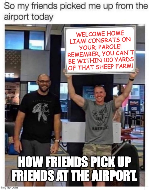Friends | WELCOME HOME LIAM! CONGRATS ON YOUR; PAROLE! REMEMBER, YOU CAN'T BE WITHIN 100 YARDS OF THAT SHEEP FARM! HOW FRIENDS PICK UP FRIENDS AT THE AIRPORT. | image tagged in welcome home | made w/ Imgflip meme maker