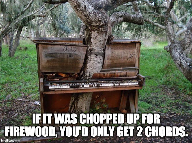 Chords | image tagged in bad pun | made w/ Imgflip meme maker