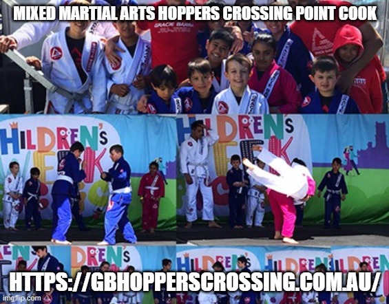 Mixed martial arts hoppers crossing point cook | MIXED MARTIAL ARTS HOPPERS CROSSING POINT COOK; HTTPS://GBHOPPERSCROSSING.COM.AU/ | image tagged in mixed martial arts hoppers crossing point cook,martial arts,mma training | made w/ Imgflip meme maker