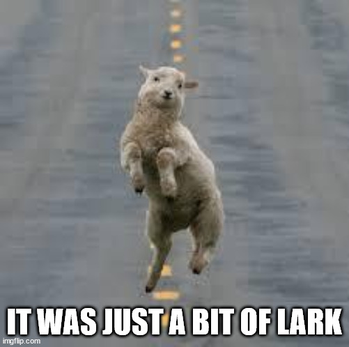 dancing sheep | IT WAS JUST A BIT OF LARK | image tagged in dancing sheep | made w/ Imgflip meme maker