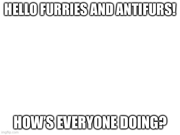 Blank White Template | HELLO FURRIES AND ANTIFURS! HOW’S EVERYONE DOING? | image tagged in blank white template | made w/ Imgflip meme maker