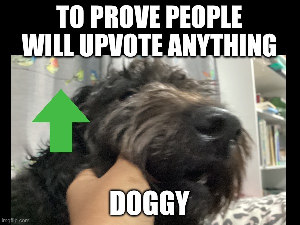 TO PROVE PEOPLE WILL UPVOTE ANYTHING; DOGGY | image tagged in doggy,memes | made w/ Imgflip meme maker