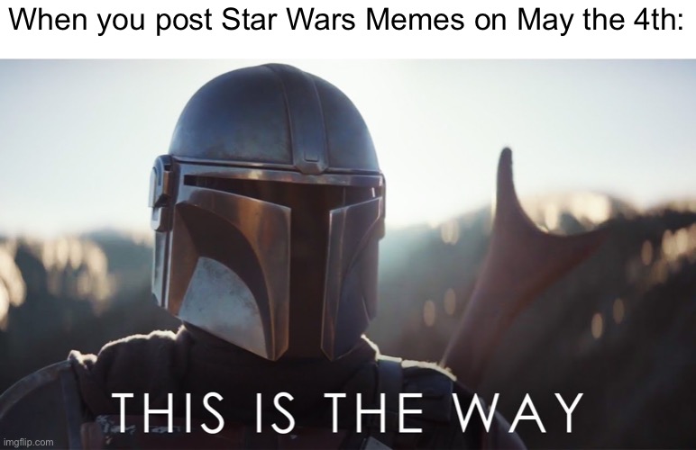This is the way | When you post Star Wars Memes on May the 4th: | image tagged in this is the way,star wars,memes,funny | made w/ Imgflip meme maker